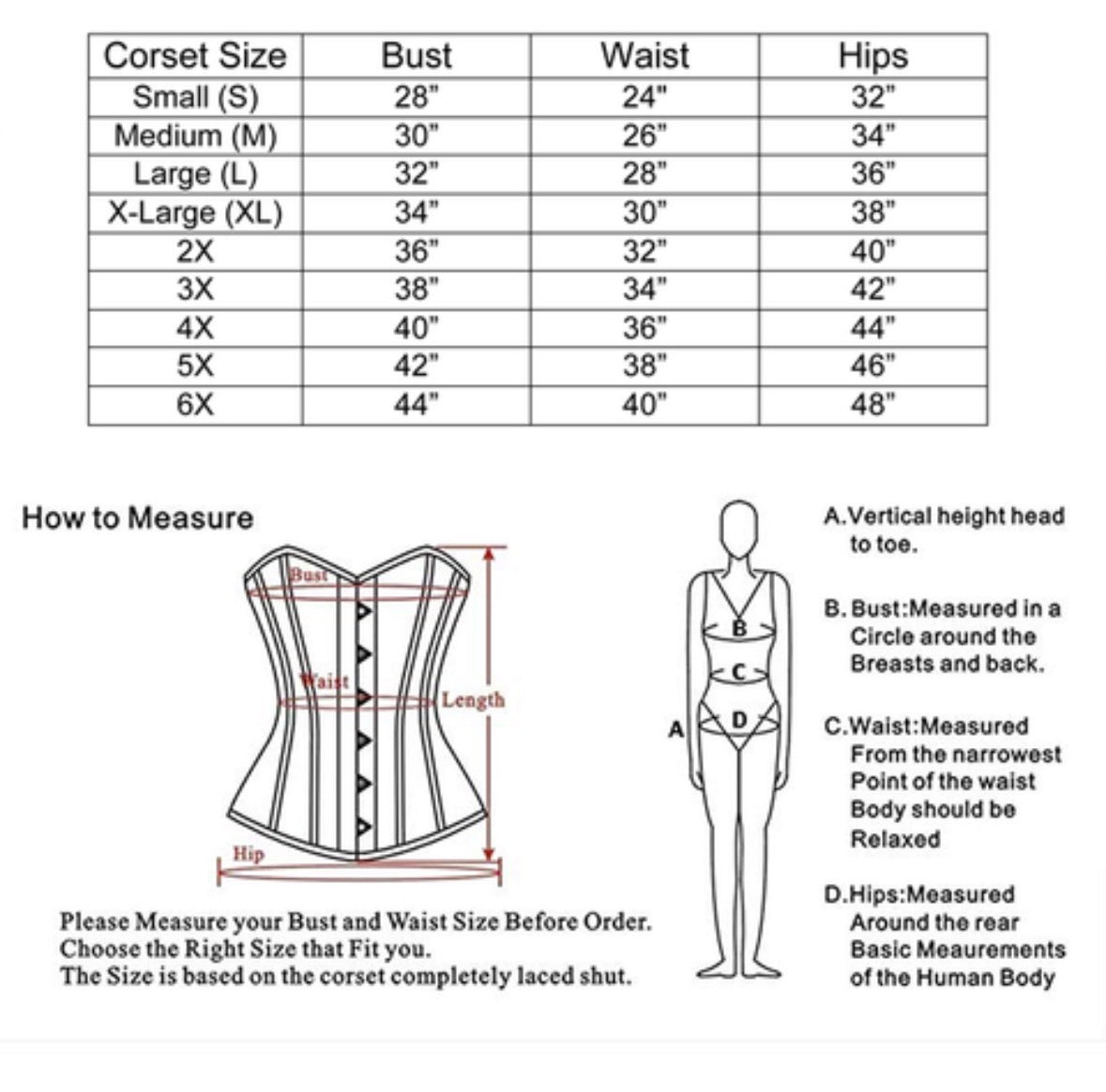 Rosé Stardust Sculpting Corset Top