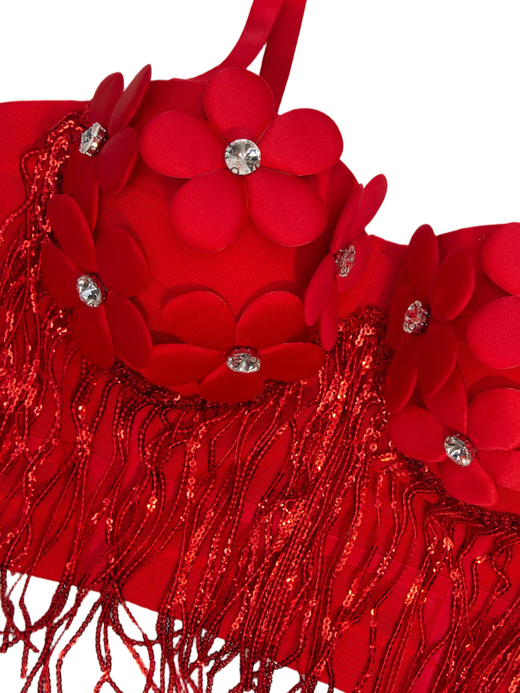 Scarlet Bloom Fringe Corset Top